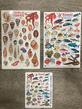 SeaLife ID Cards